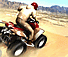  Desert Rider
